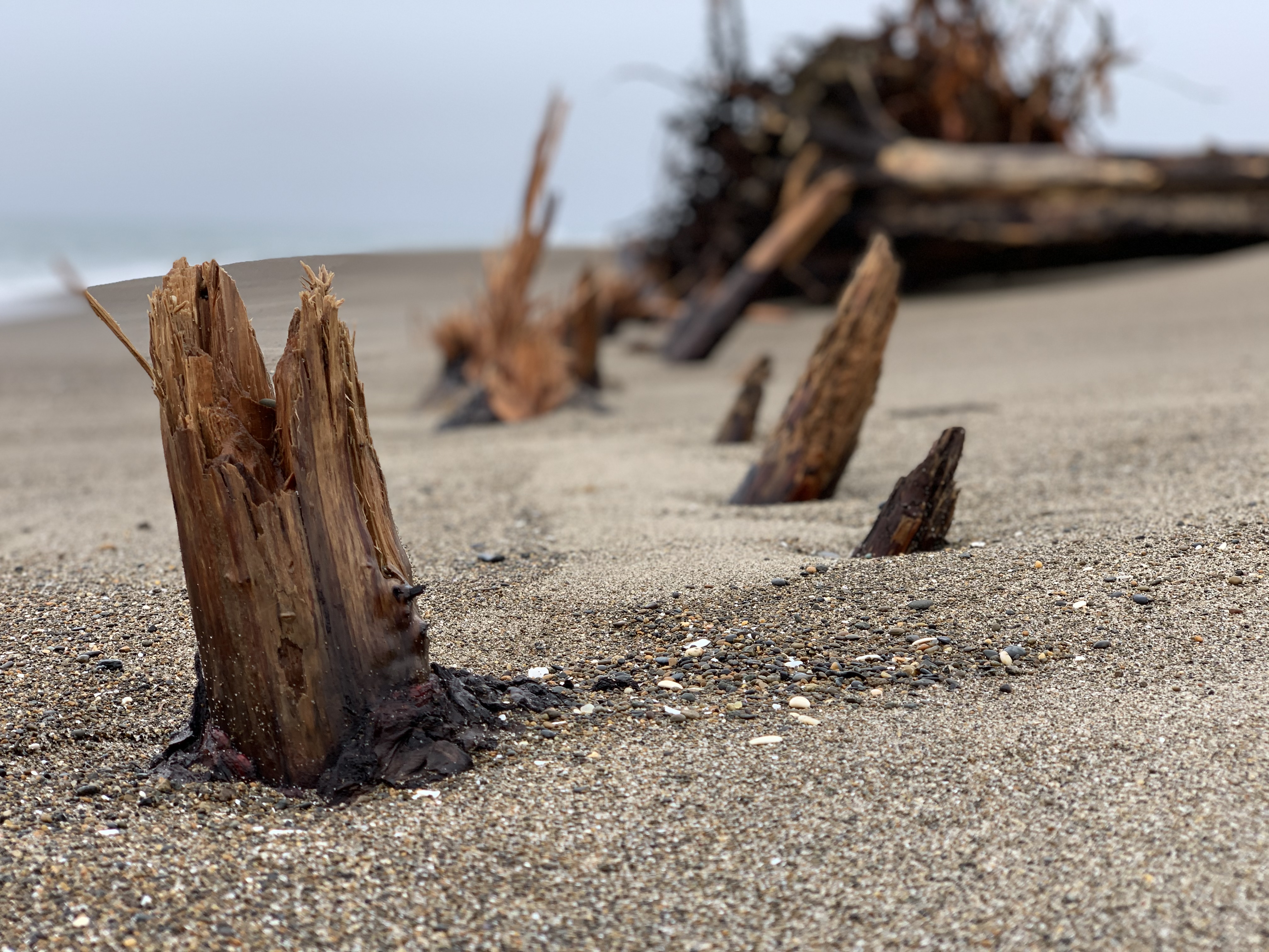 Alaska%20glacier%20GE