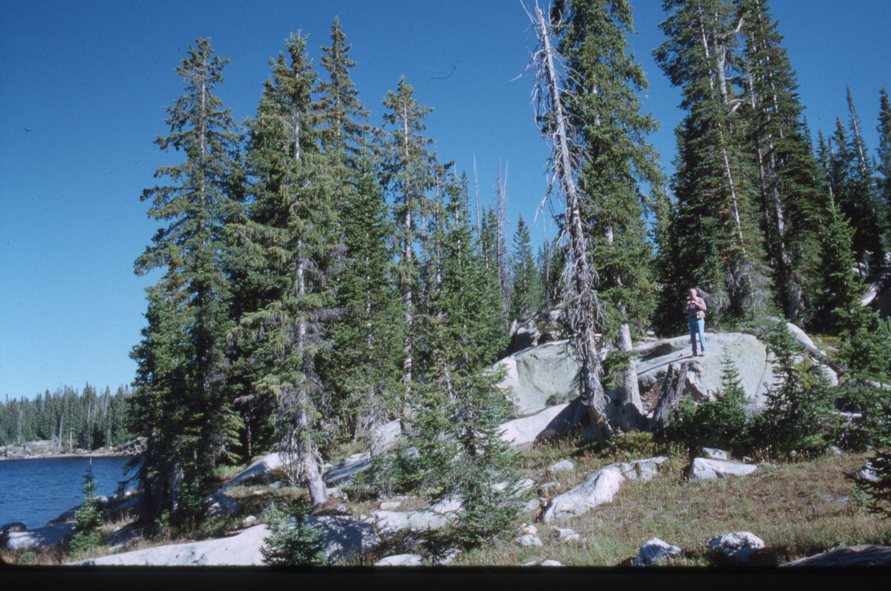 Bryce%20Yellowstone%20018