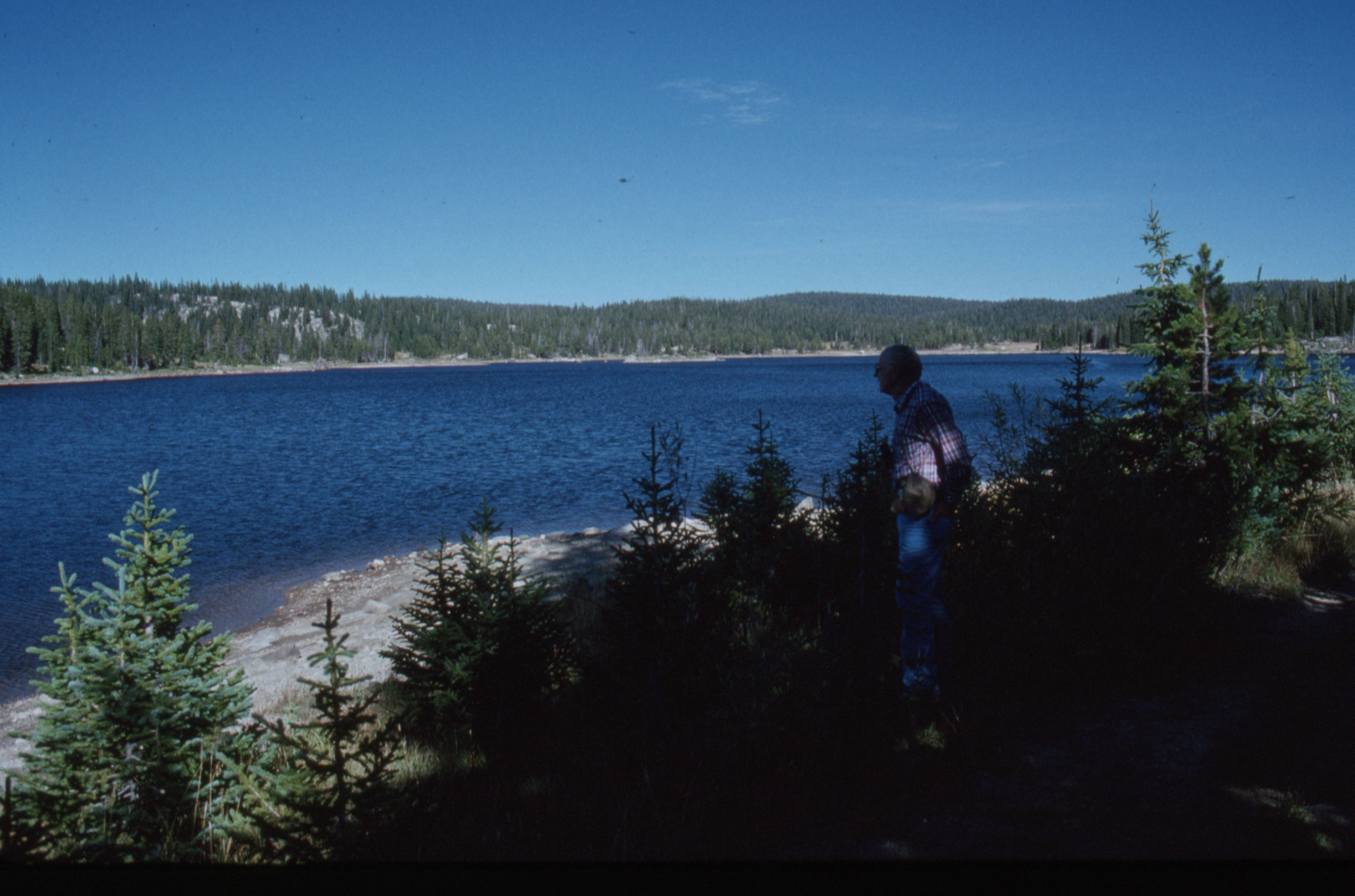 Bryce%20Yellowstone%20019