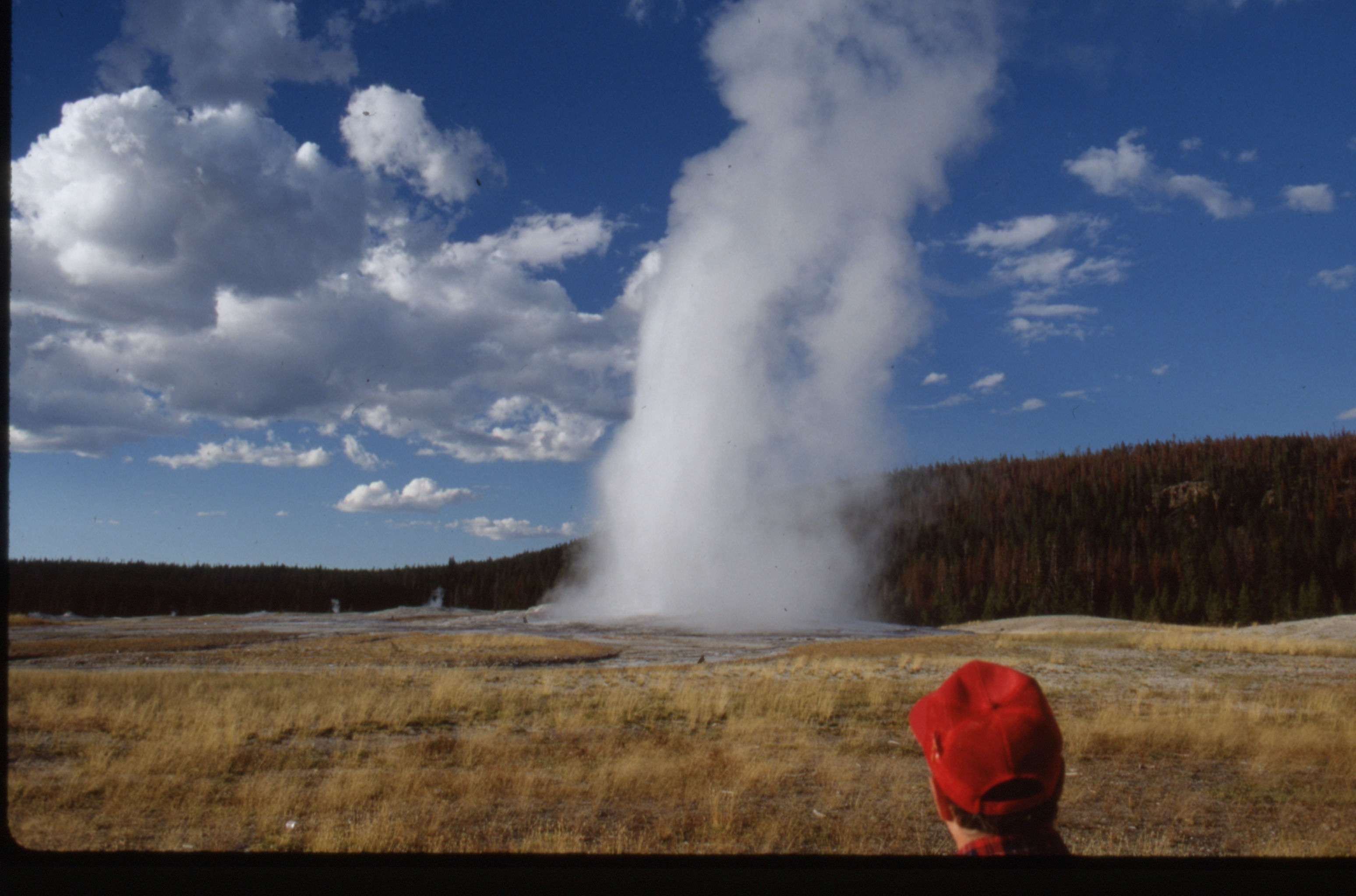 Bryce%20Yellowstone%20055