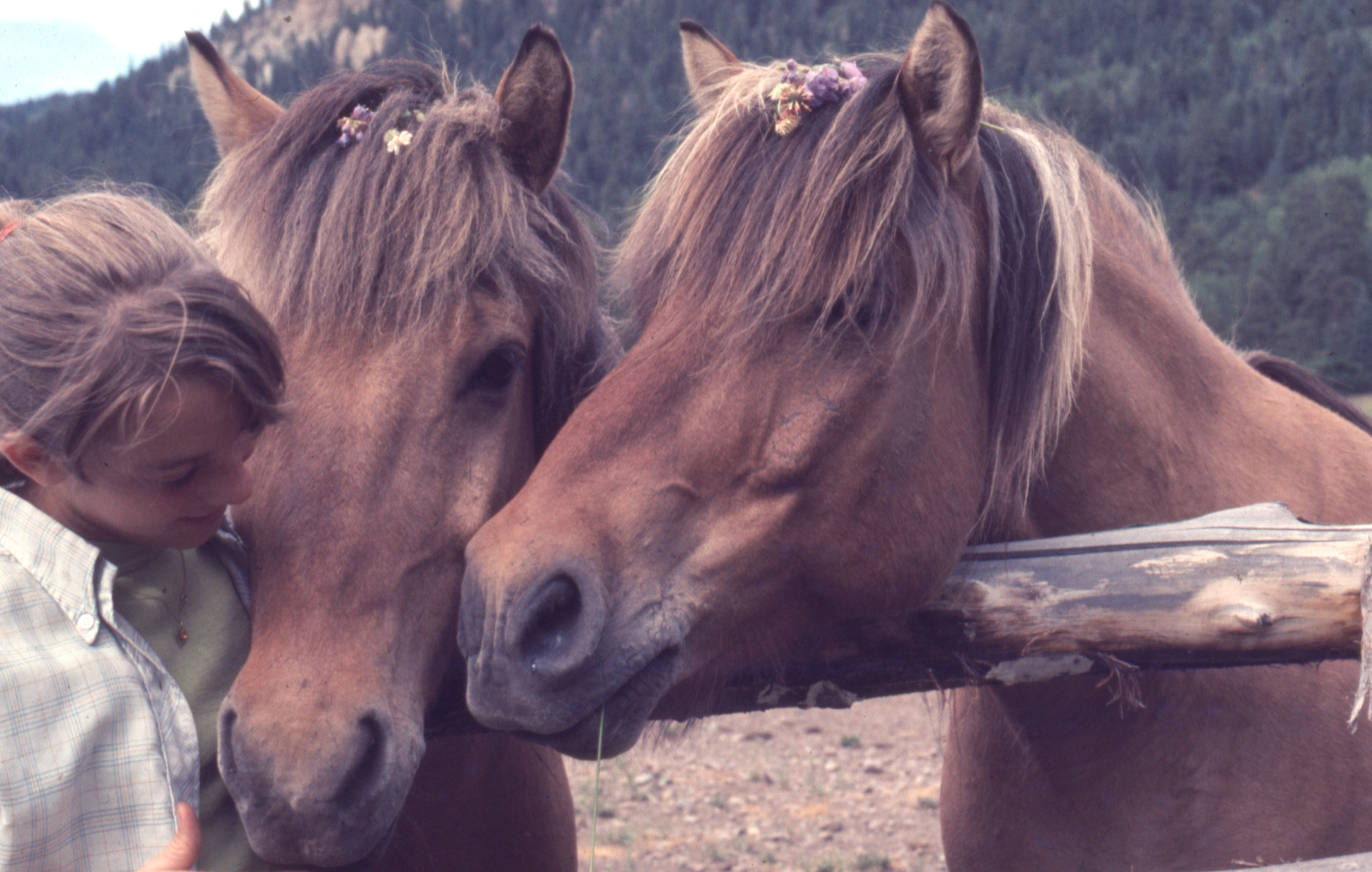 Colorado%201974%20009