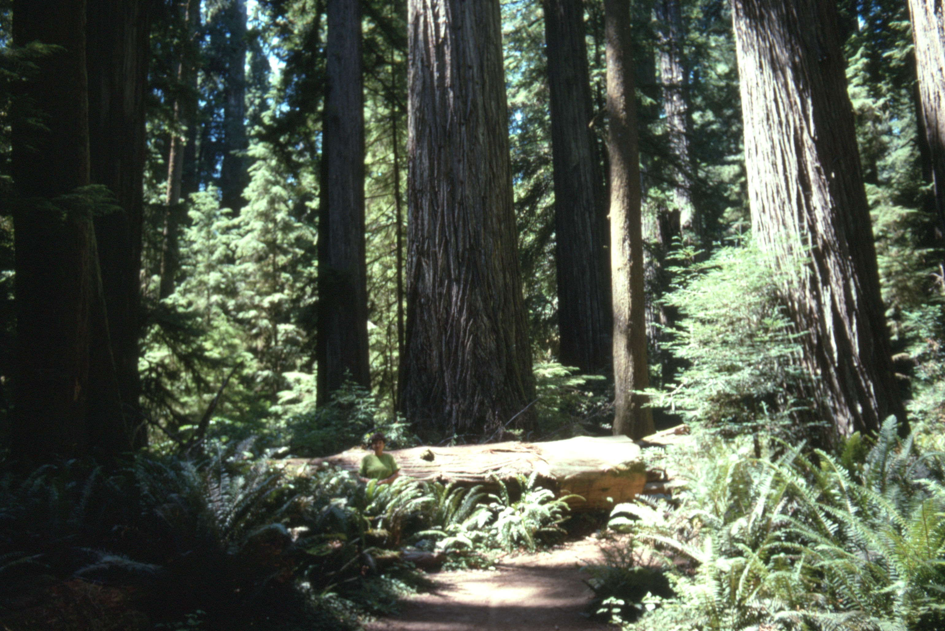 Canada%20Sept%201994%20013