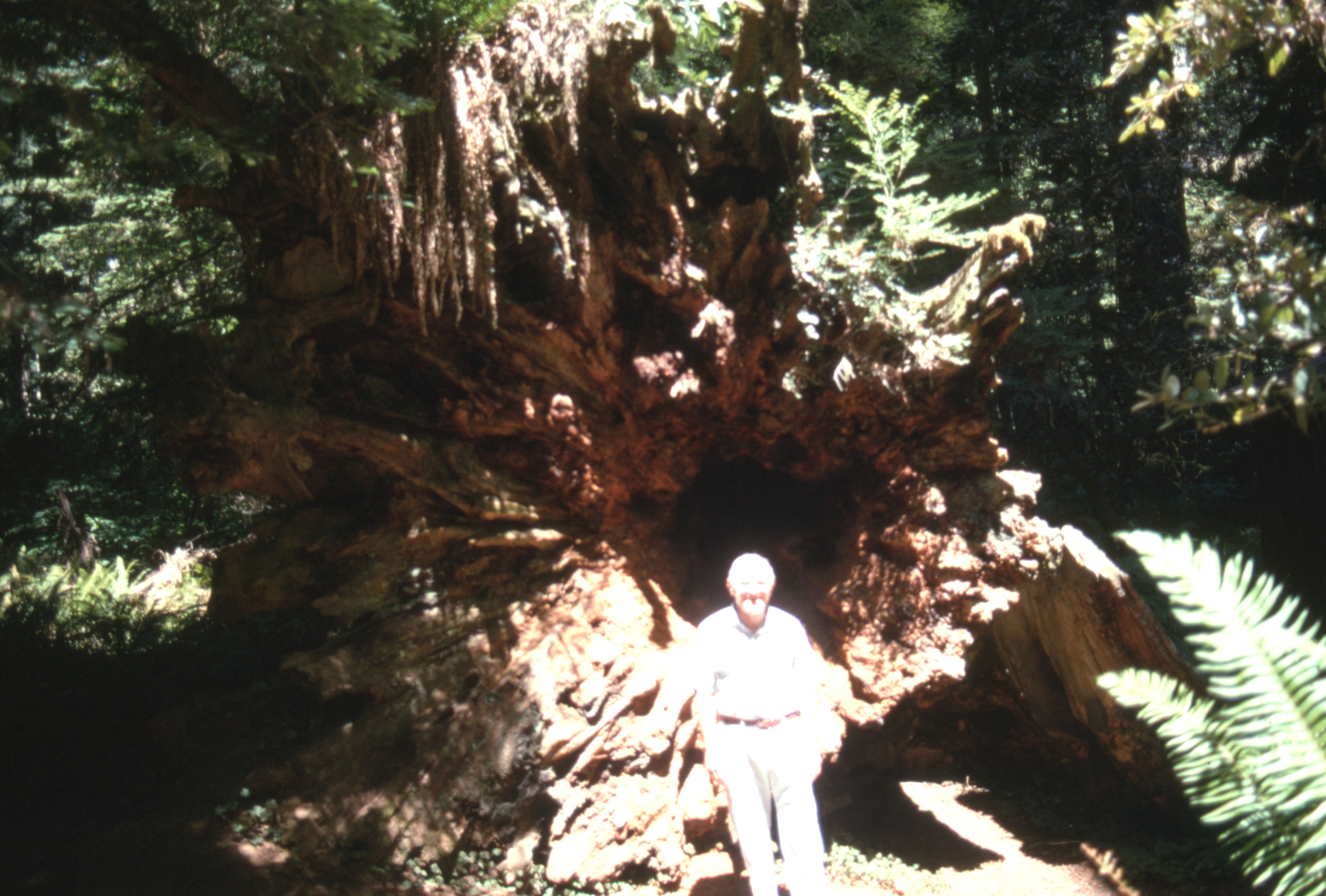 Canada%20Sept%201994%20014