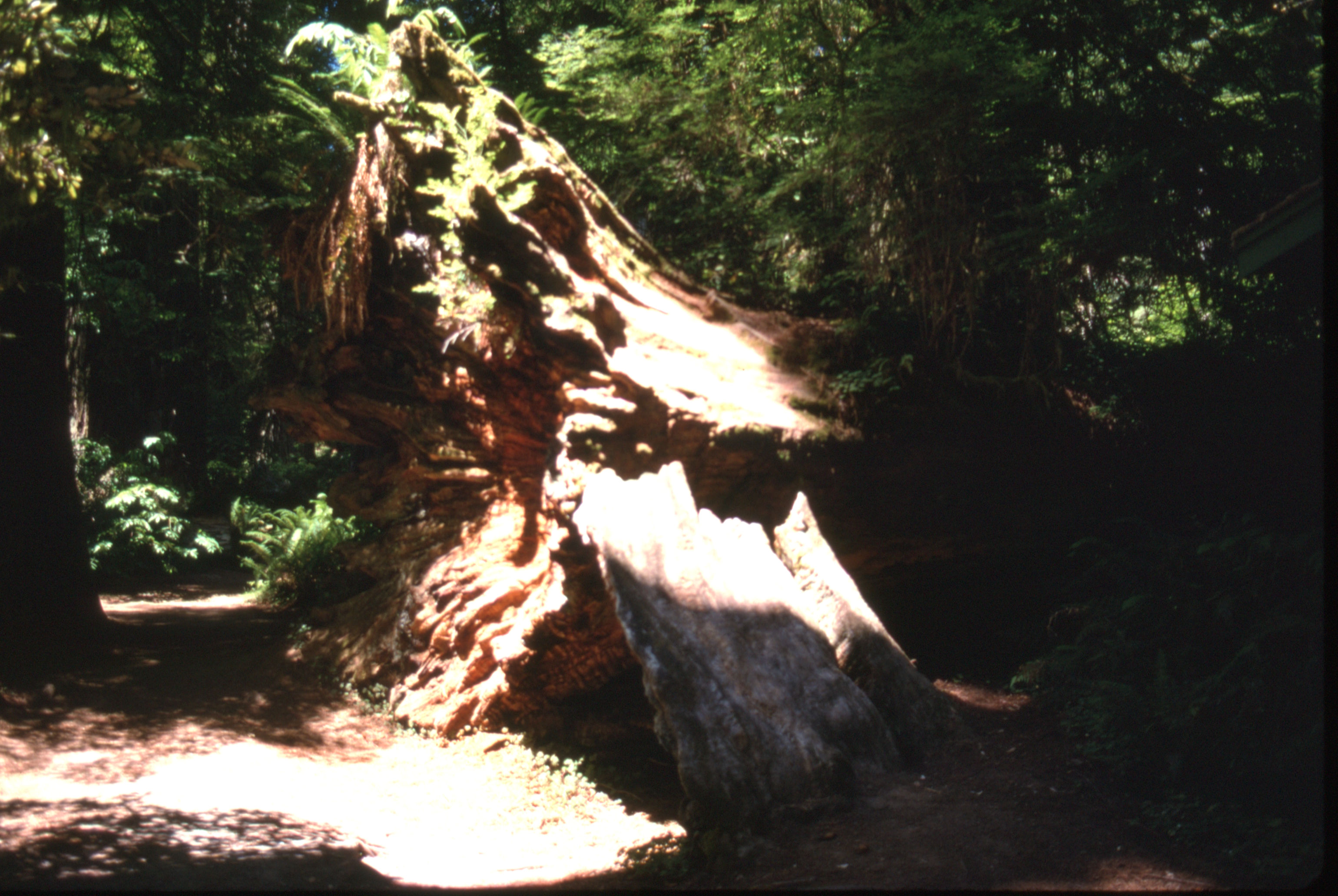 Canada%20Sept%201994%20015