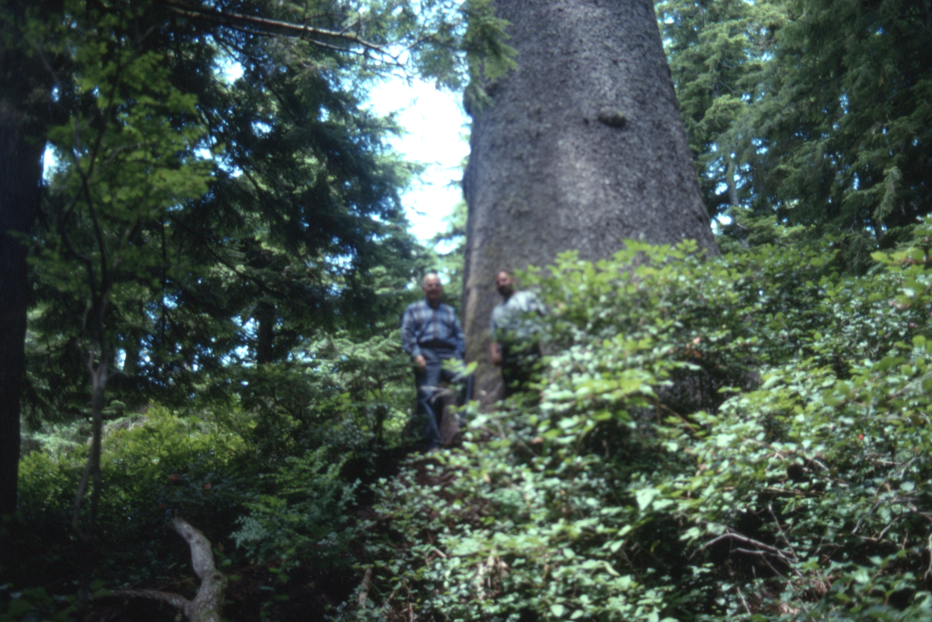 Canada%20Sept%201994%20017