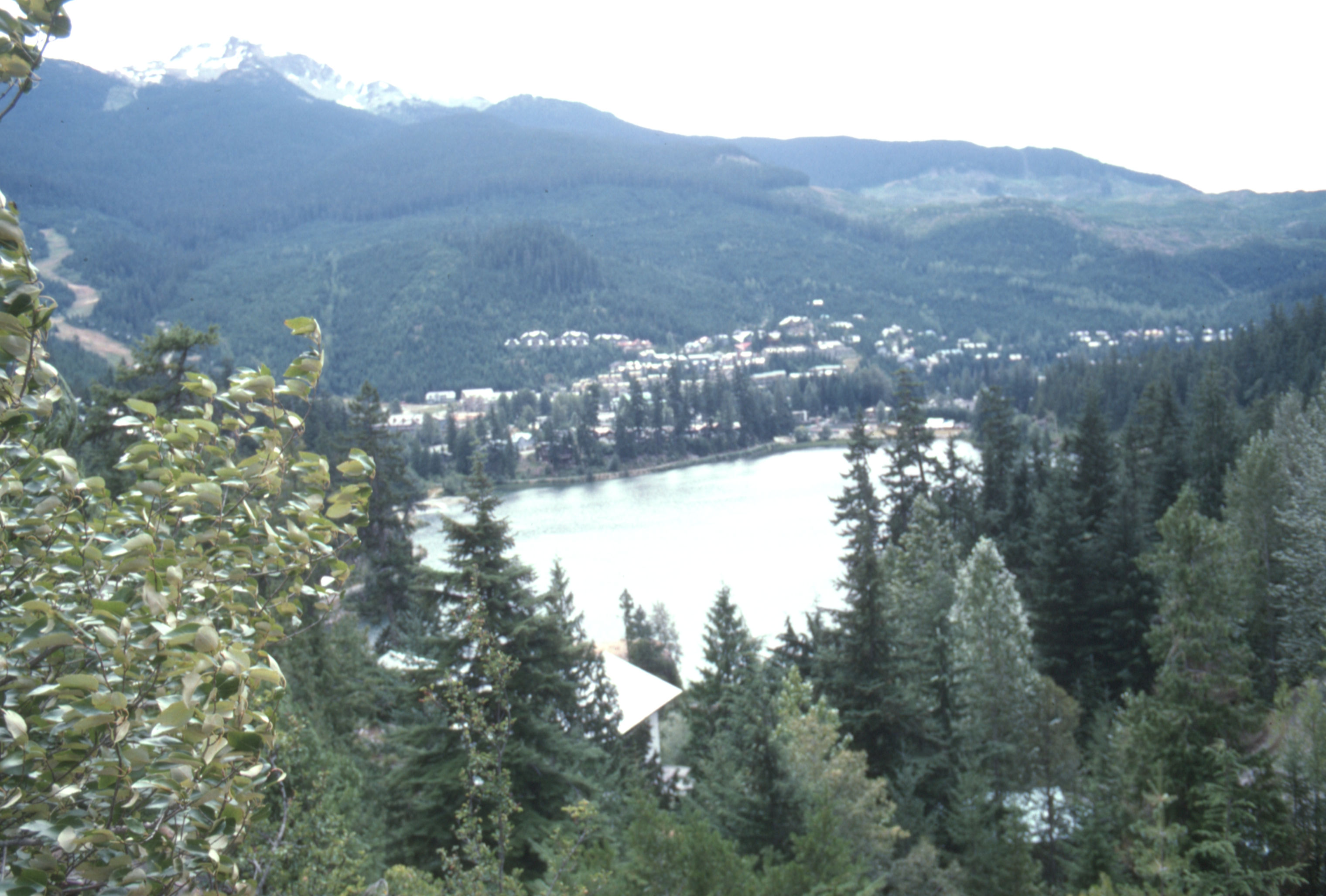 Eastcoast%20Sept%201994%20027