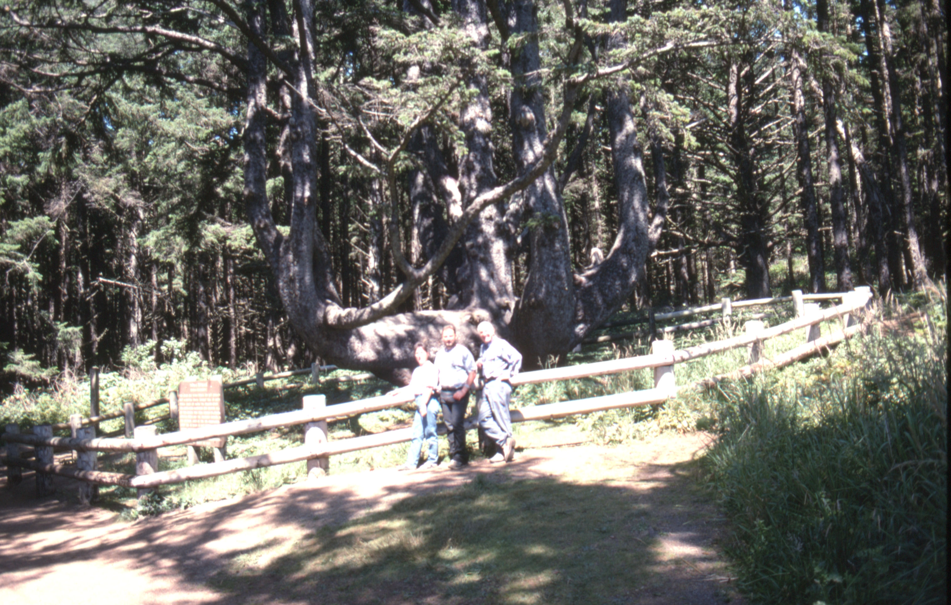 Eastcoast%20Sept%201994%20029