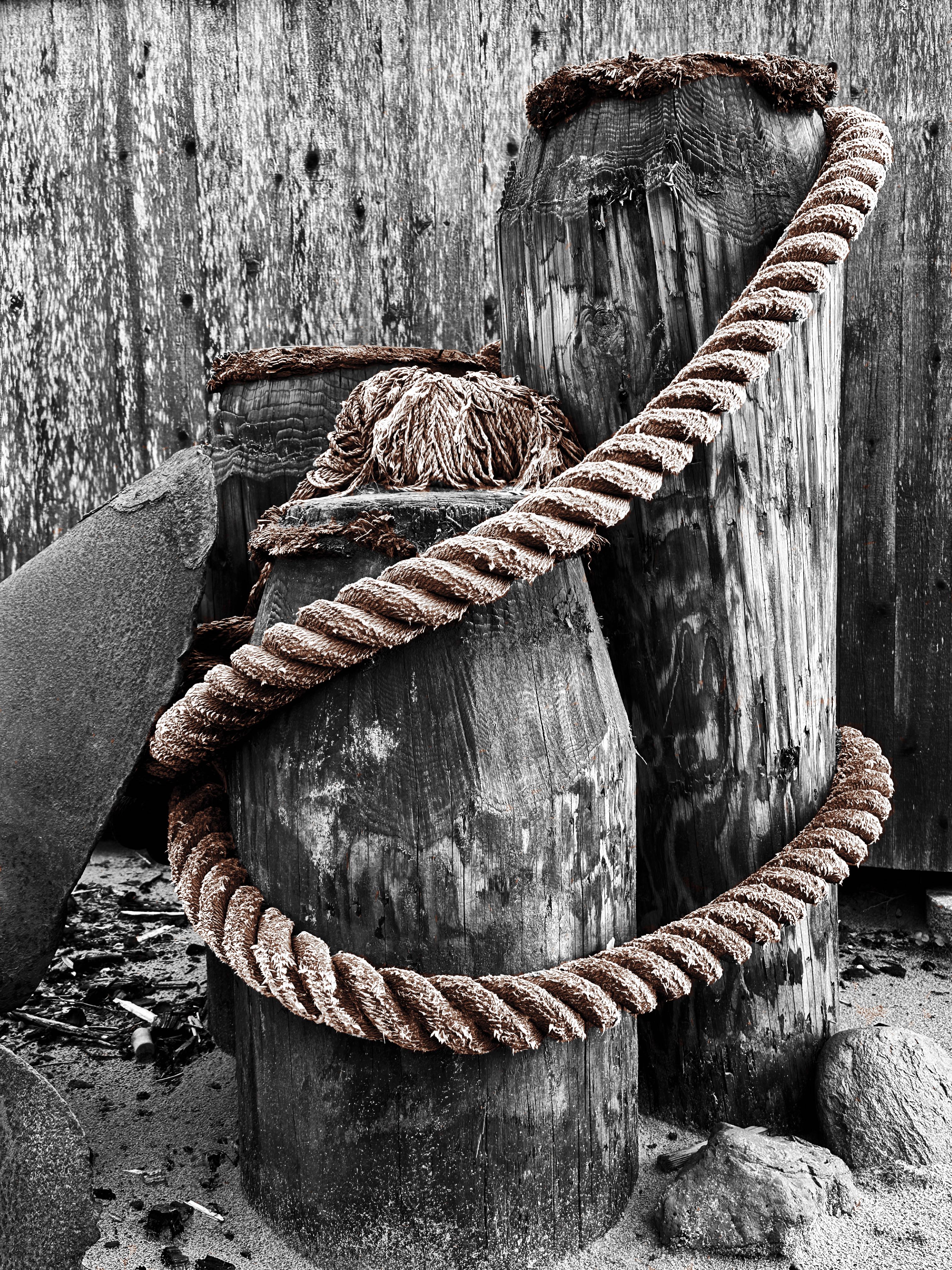 placeholder image-sq